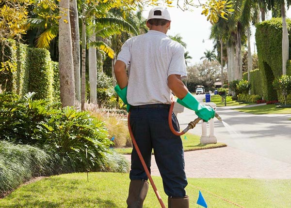 About Sand Springs MT Pest Control